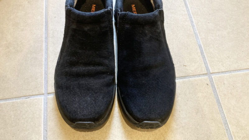 向かって左がブラシをかける前、右がブラシをかけた後